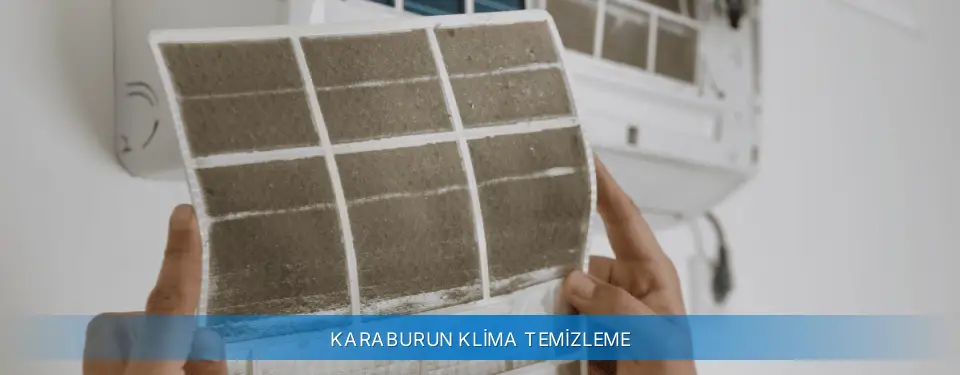 Karaburun İlçemi Carrier Klima Temizleme